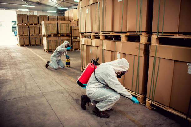 Best Cockroach Control Services  in Lake Hiawatha, NJ