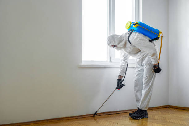 Best Wildlife Control Services  in Lake Hiawatha, NJ