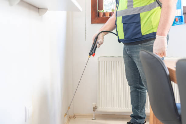 Best Termite Control Services  in Lake Hiawatha, NJ