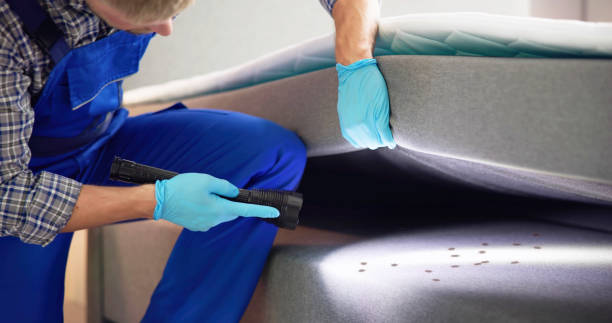 Best Affordable Pest Control Services  in Lake Hiawatha, NJ