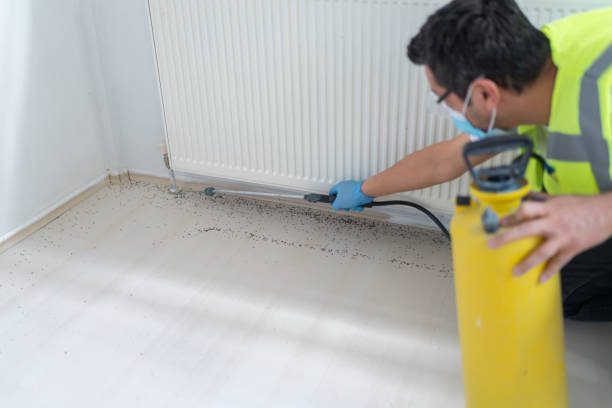 Best Pest Prevention Services  in Lake Hiawatha, NJ