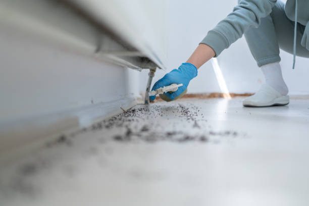 Lake Hiawatha, NJ Pest Control Company