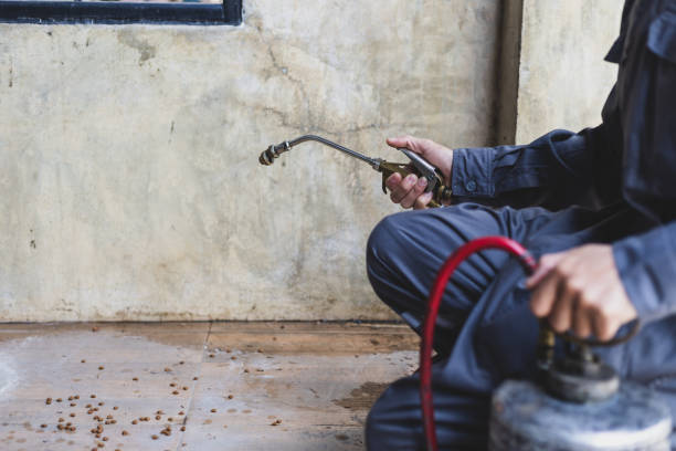 Best Exterminator Services  in Lake Hiawatha, NJ